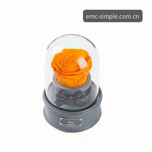 EMC体育2025新版登录实测：三步解决登录失败，选对入口比折腾设备更省事